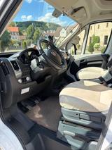 Pilote P740 Evidence Außergewöhnlicher Top Zustand - Pilote Teilintegrierter
