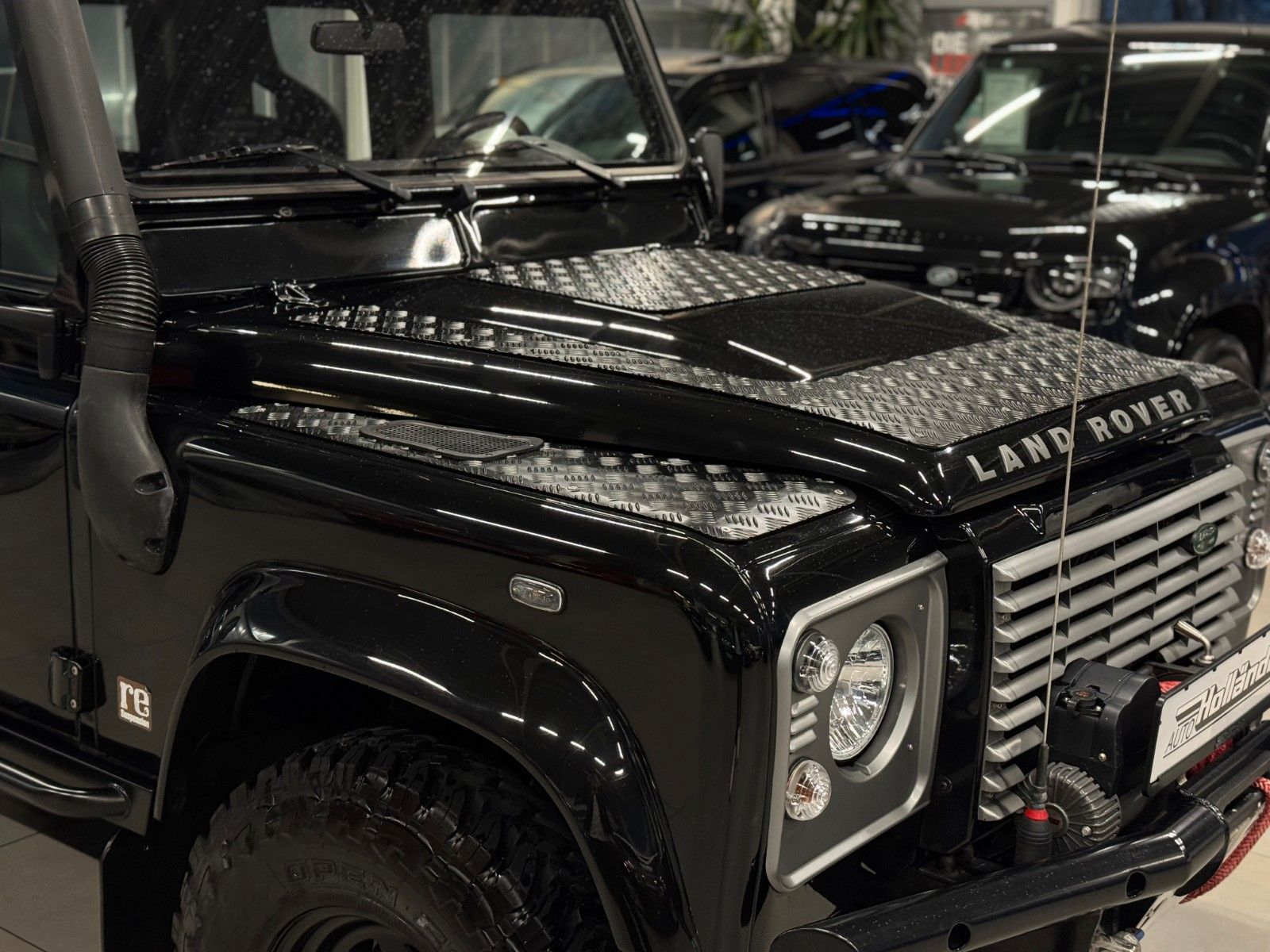 Fahrzeugabbildung Land Rover Defender 110 SE Station Wagon "Maxi-UMBAU"