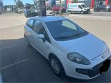 Fiat Punto/ 1.Hand/ Zahnriemen gewechselt - Fiat Punto: Sportwagen