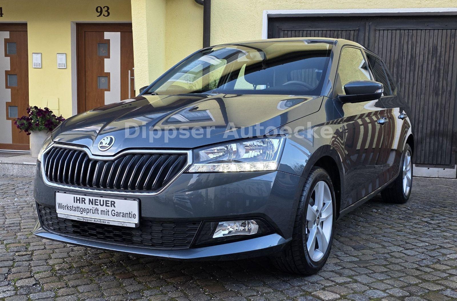 Skoda Fabia "Cool Plus"_Sitzh_Parkp. h_8 fach ber...