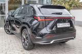 Lexus NX 450h+ - Lexus NX 450h SUV