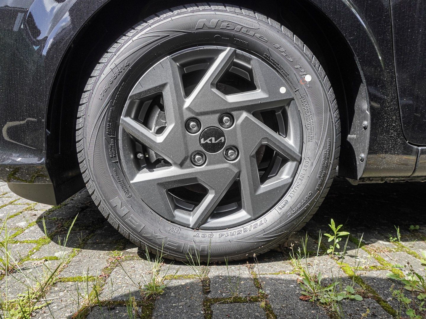 Kia Picanto - Bild 3