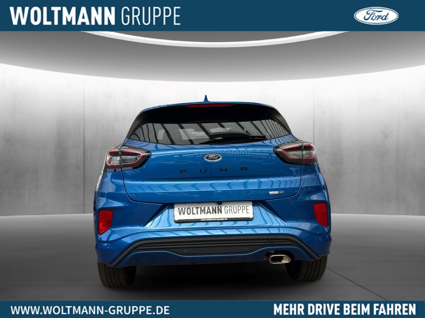 Fahrzeugabbildung Ford Puma ST-Line X  Mild-Hybrid Fahrassistenz-Winter