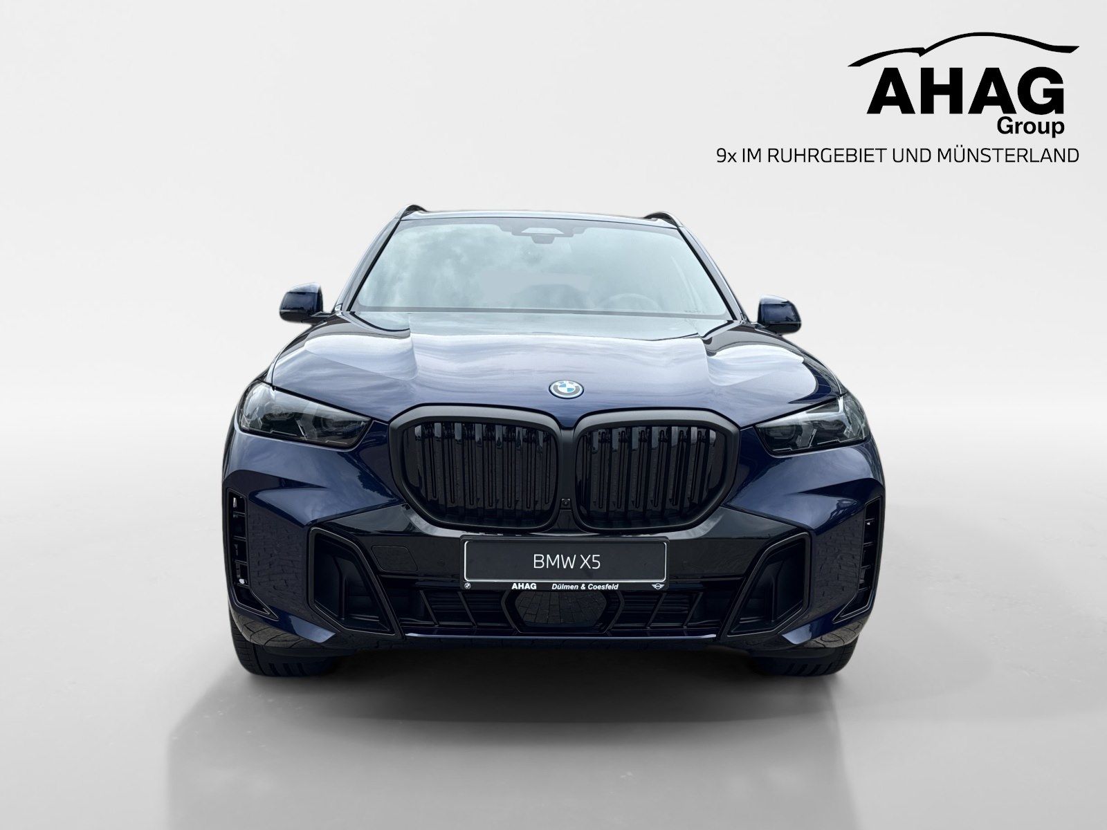 BMW X5 xDrive50e imagem 2