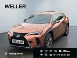 Lexus UX 300h F SPORT Design *LED*ACC*Kamera*SHZ*Navi* - Lexus UX in Leipzig