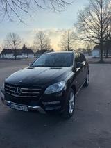 Mercedes-Benz ML 250 BlueTEC 4MATIC - Top Ausstattung  - Mercedes-Benz ML 250: Panoramadach