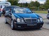 Mercedes-Benz CLK 230 Komp. Cabrio AUTOMATIK LEDER TEMPO SHZ - Mercedes-Benz: Cabrio, Clk