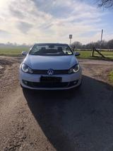 Volkswagen Golf 1.4 TSI DSG Cabriolet - - Volkswagen Golf: Leder, Cabrio