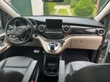 Mercedes-Benz Marco Polo 250d 4M AMG ILS STDHZ SOLAR AUTARK  - Mercedes-Benz So