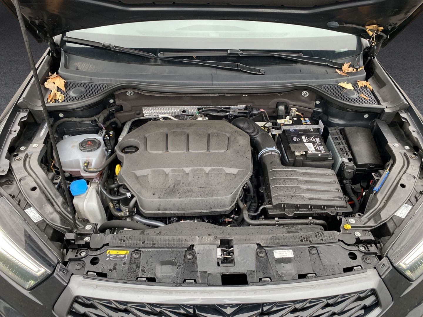 Fahrzeugabbildung CUPRA Ateca VZ 4Drive AD AHK-klappbar Navi Digitales C