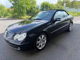 Mercedes-Benz CLK 320 ELEGANCE W209 - Mercedes-Benz: Clk 209
