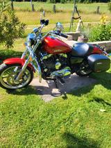 Harley-Davidson Sportster XL 1200T Superlow - Offers matching your search criteria