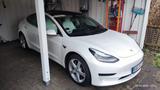 Tesla Model 3 Standard-Reichweite Plus - alles weiss