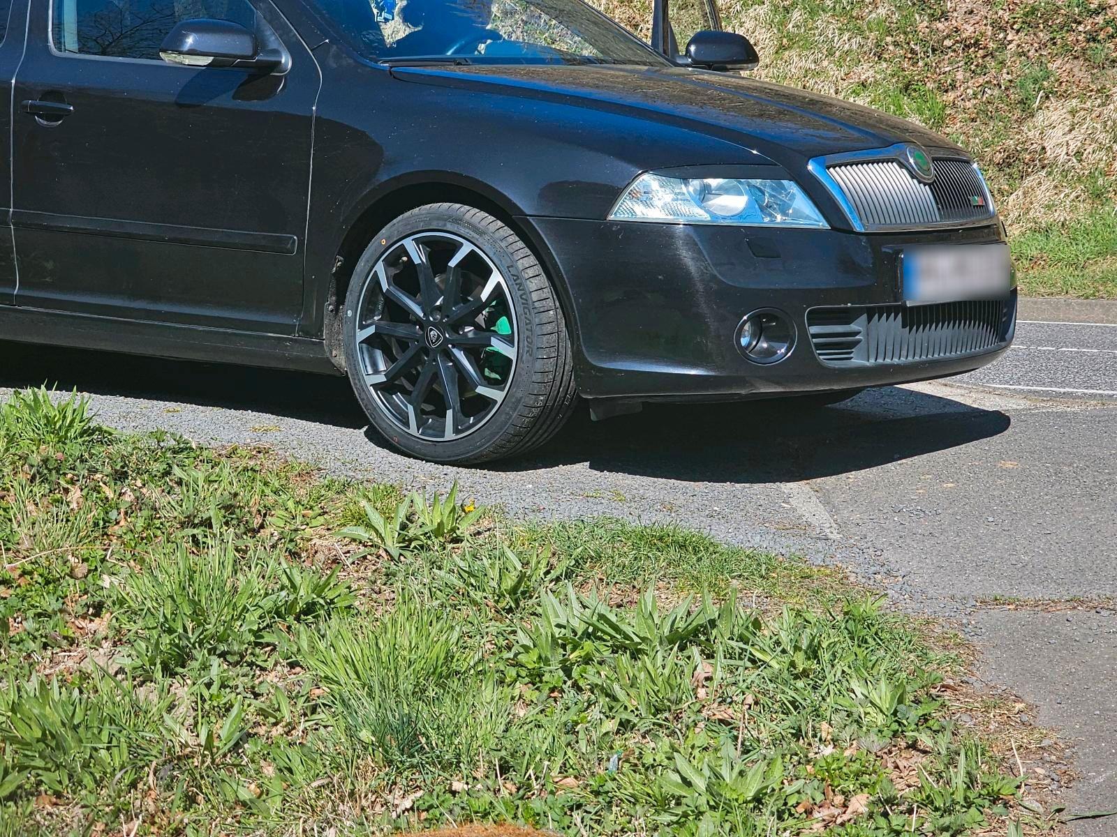 Skoda Octavia 2006 — вигляд ззаду