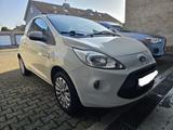 Ford K 1.2 Service und Inspektion neu - Ford Ka/Ka+ Gebrauchtwagen in Köln