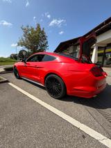 Ford Mustang 2.3 EcoBoost -Schalter | Zündkerzen neu  - Ford Mustang Gebrauchtwagen in Stuttgart
