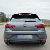 Seat Leon 2.0 TSI Cupra R Limited Edition, Matt - Seat Leon: R