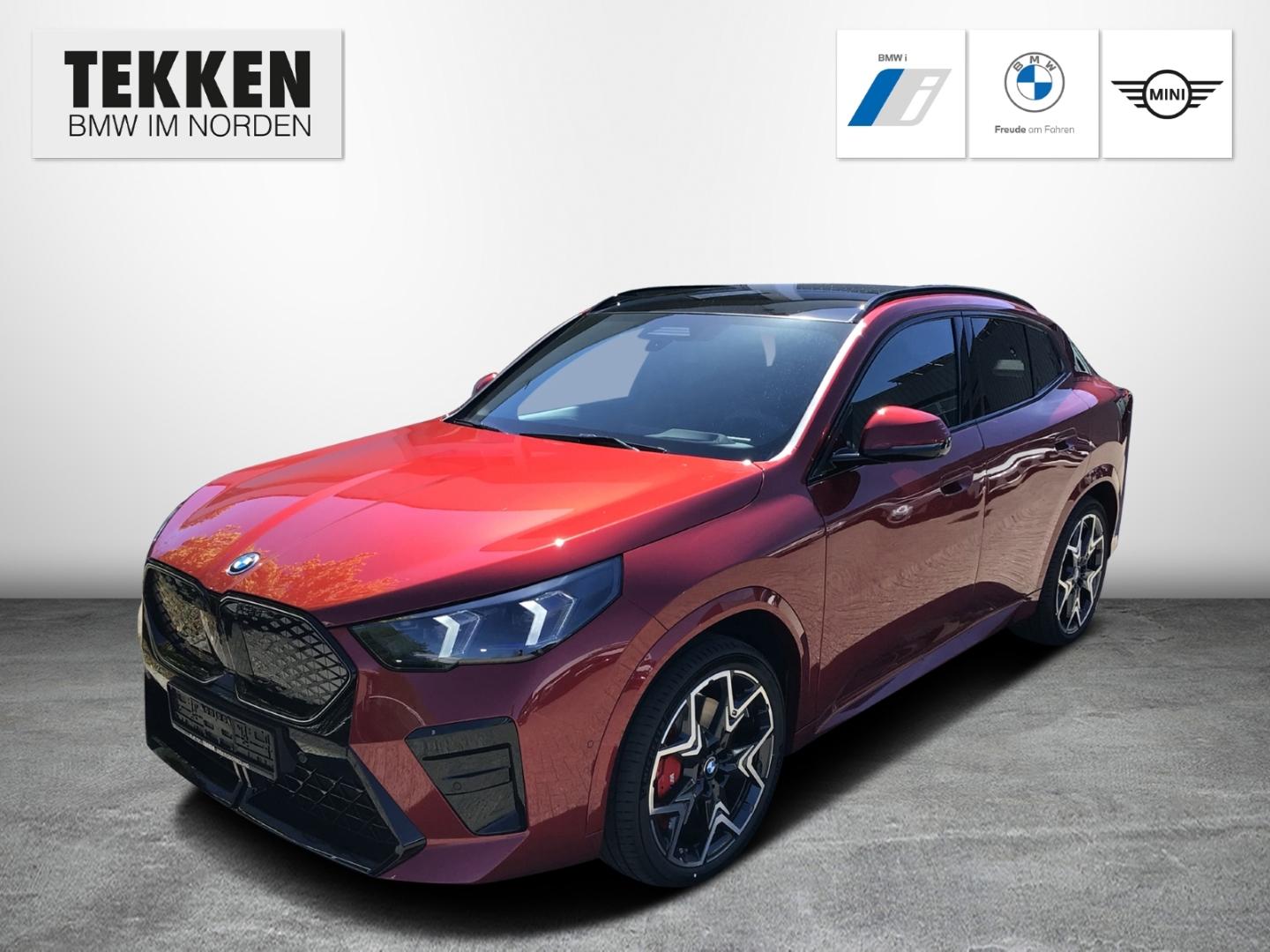 BMW iX2 xDrive30 M-Sport Pro/AHK/ACC/Lenkradheizung