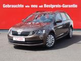 Skoda Octavia 1.0 TSI Active Klima USB Notrufassistent - Skoda Octavia: Active
