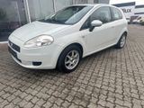 Fiat Grande Punto 1.2 8V Active - Fiat Grande Punto: Weiß