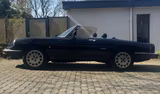 Alfa Romeo Spider 1.6 | vollrestauriert 2021 | Top Zustand - Alfa Romeo Spider: 1.6