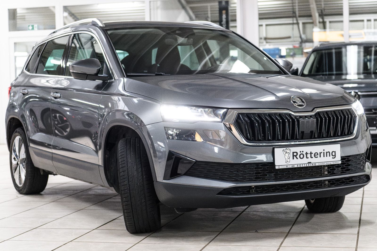 Fahrzeugabbildung SKODA Karoq Selection