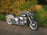 Harley-Davidson Softail Deluxe FLSTN - Angebote