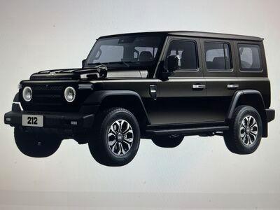 BAW 212*Schwarz/Schwarz* 19 KW Lieferbar *