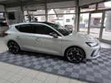 Cupra Leon 2.0 TSI 221 kW Panoramadach, - Cupra Leon in Karlsruhe