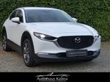 Mazda CX-30 SKYACTIV-G 122PS SELECTION + Active-Sense - Mazda CX-30 in Essen
