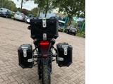 Zero DSR/X 2024 Black Forest - ZERO DSR