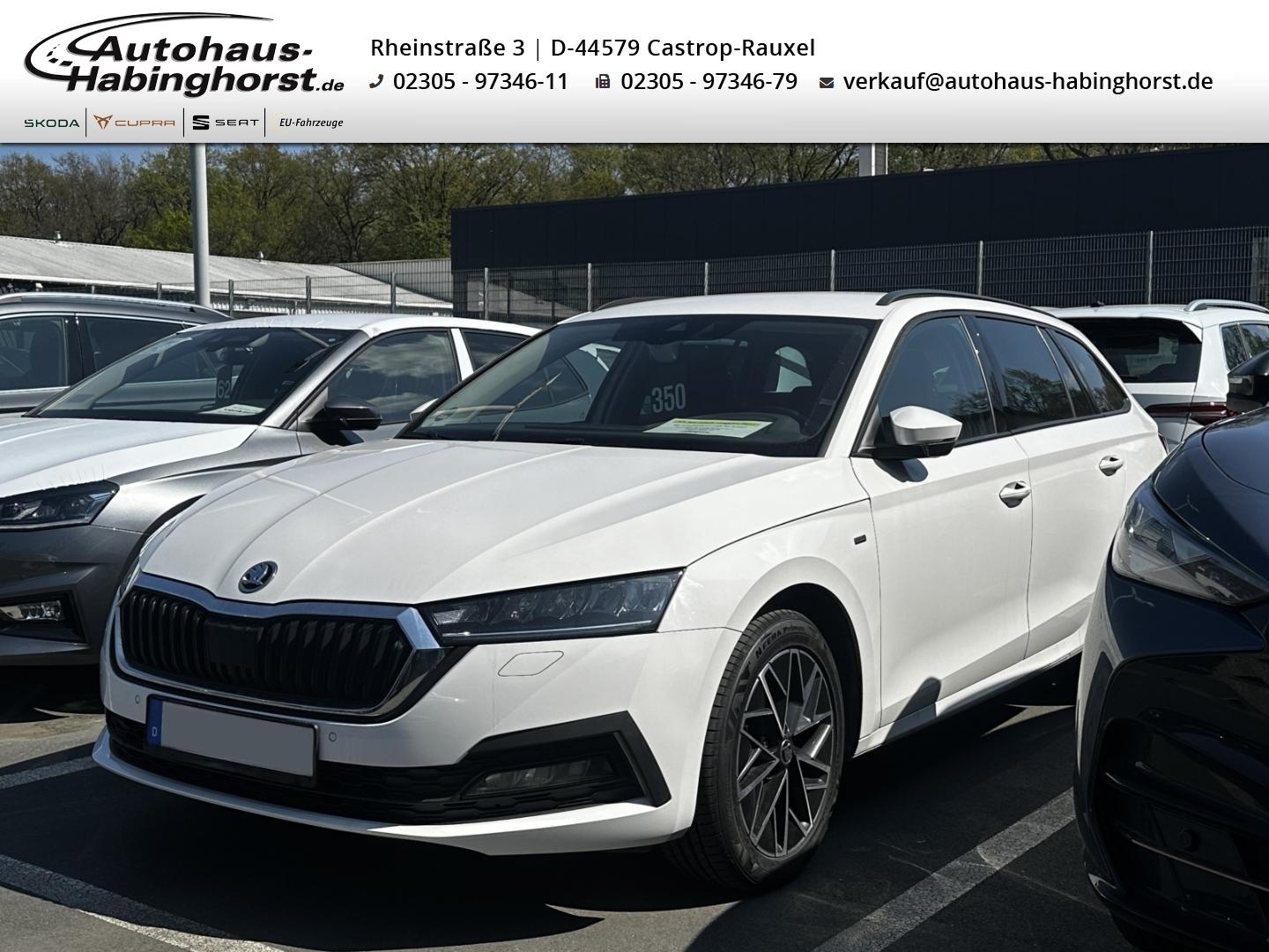 Skoda Octavia IV Combi 2.0 TDI DSG Clever Navi PDC ACC