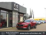 Mazda CX-30 SKY-X AWD Selection+LEDER+GSD+BOSE !! - Mazda CX-30 in Duisburg