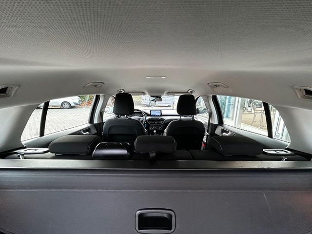 Focus Turnier Cool & Connect*RFK*SHZ*PDC