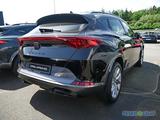 Cupra Formentor 1.5 TSI DSG NAVI/KAMERA/ACC - Cupra Formentor Gebrauchtwagen