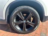 BMW X6 xDrive40d M Paket SZH TMP BiXen CAM MEMORY - gebrauchte BMW X6 aus dem Jahr 2013
