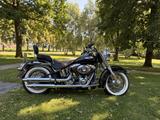 Harley-Davidson Softail Deluxe FLSTN 103