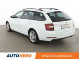 Skoda Octavia 2.0 TSI Ambition Aut.*NAVI*LED*TEMPO*PDC - Skoda Gebrauchtwagen in Celle
