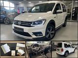 Volkswagen Caddy 2.0 TDI Alltrack|1HD|AHK|Bi-Xen|Navi|Serv. - Volkswagen Caddy Alltrack mit Diesel-Antrieb
