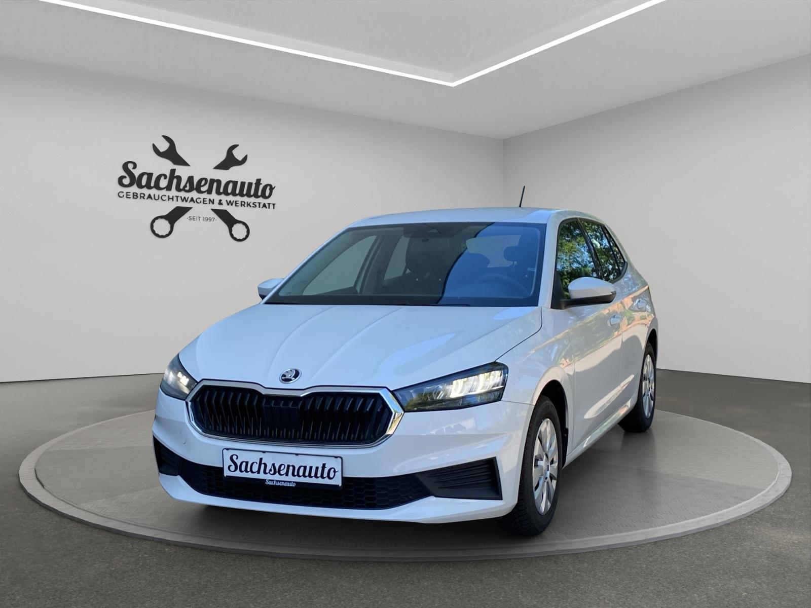Skoda Fabia 1.0 (HU+Insp. neu, Klima, LED, PDC, DAB)