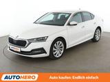 Skoda Octavia 2.0 TDI Style Aut.*LED*TEMPO*CAM*PDC*SHZ - mit Diesel-Antrieb: Kleinwagen, 2.0