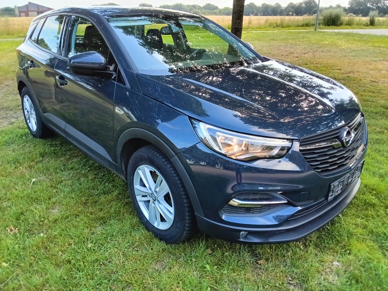 Opel Opel Grandland (X),1,5 D..AHK,Navi ,6 Gang !