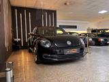Volkswagen Beetle Fender 2.5l Leder, Pano - Volkswagen Beetle: Sportwagen