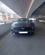 Ford Mustang 2.3 EcoBoost Auto - - Ford Mustang: 2.3