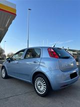 Fiat Punto - 2009 78.000 KM 2. Hand TUV - Fiat Punto Gebrauchtwagen in Köln