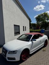 Audi S5 MTM TOP Zustand EINZELSTÜCK  - Audi S5 in Duisburg