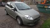 Fiat Punto 1,4 mit 5 Türen aus 1.HAND - Fiat Punto aus 2008: 1.4