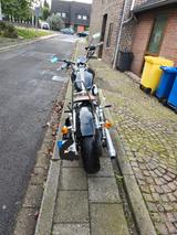 Harley-Davidson Sportster 1200c custom ggfs Tausch  - HARLEY-DAVIDSON 2006 SPORTSTER 1200