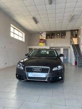 Audi A4 2.0 TDI 143CV F.AP. Advanced - Audi A4: TDI 143