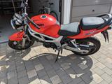 Suzuki SV 650  - SUZUKI 2000 SV650